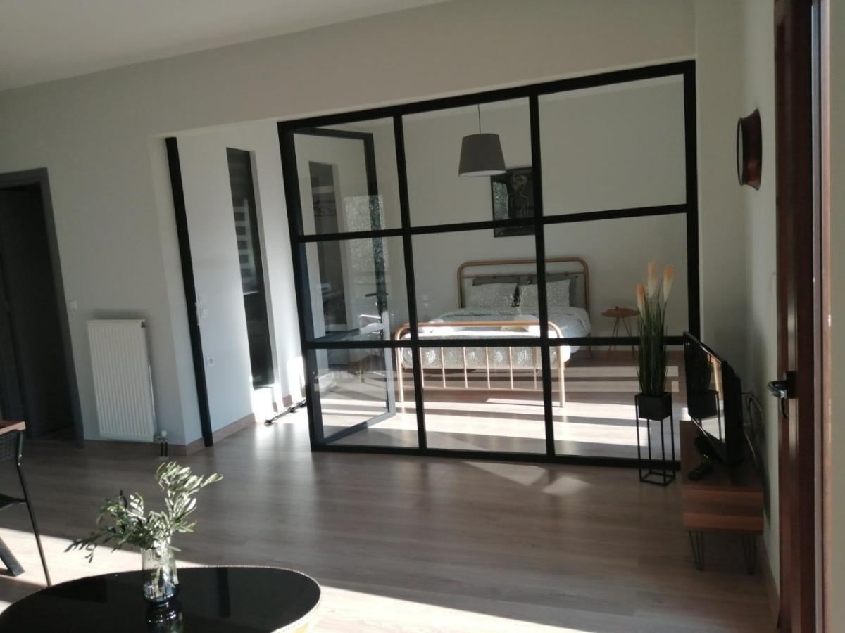 Eleana Apartment Ioannina Bagian luar foto