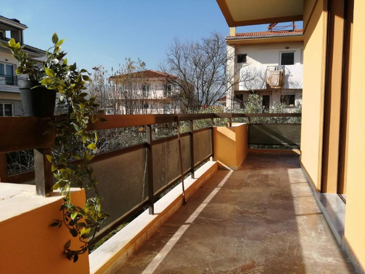 Eleana Apartment Ioannina Bagian luar foto