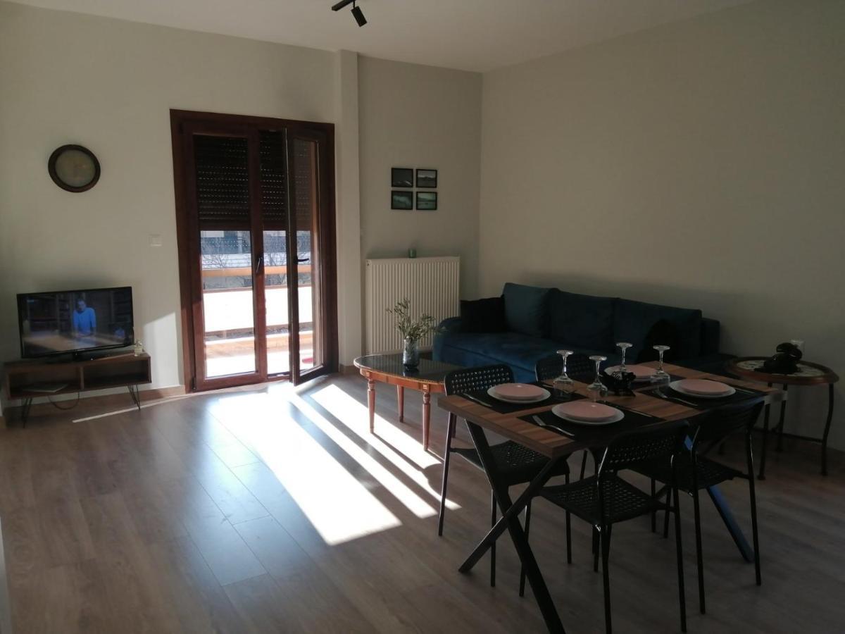 Eleana Apartment Ioannina Bagian luar foto