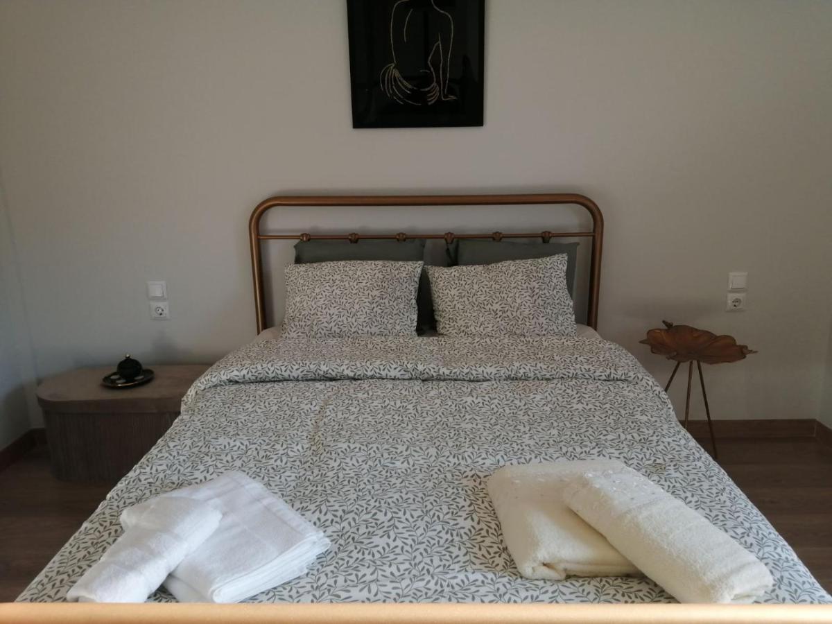 Eleana Apartment Ioannina Bagian luar foto